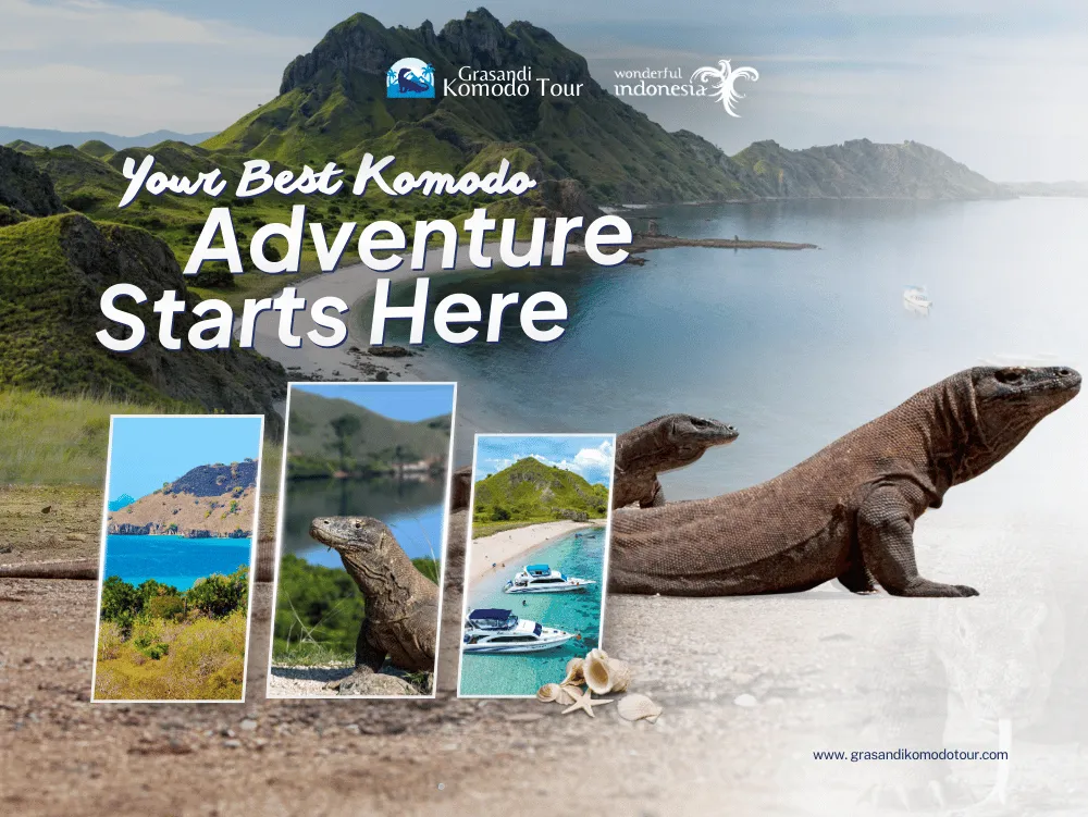 Grasandi Komodo Tour
